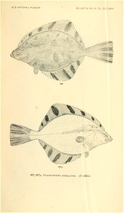 n1046_w1150
