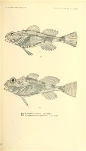 n866_w1150