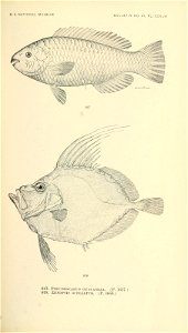 n776_w1150