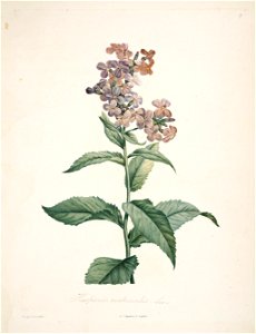 n139_w1150