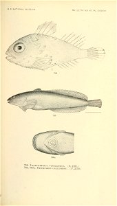 n912_w1150