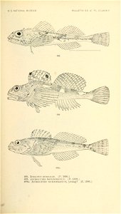 n852_w1150