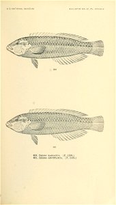 n762_w1150