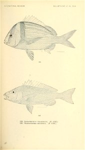 n702_w1150