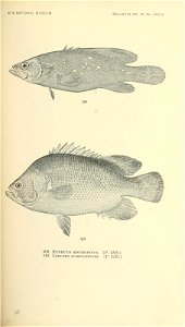 n672_w1150