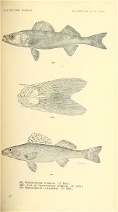 n612_w1150