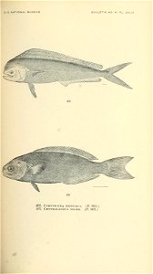 n582_w1150