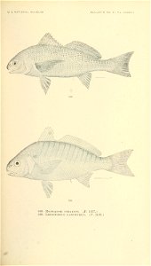 n730_w1150