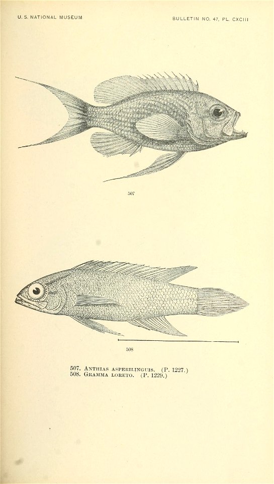 n670_w1150