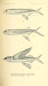 n520_w1150