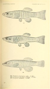 n490_w1150