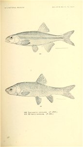 n370_w1150