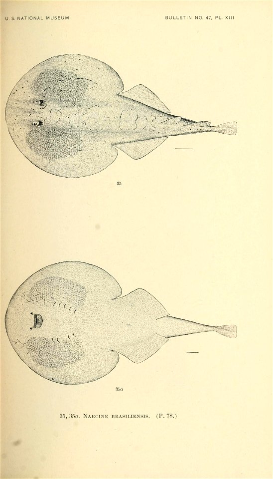 n310_w1150