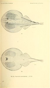 n310_w1150