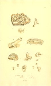 n174_w1150