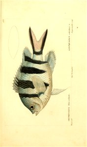 n248_w1150