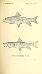 n358_w1150
