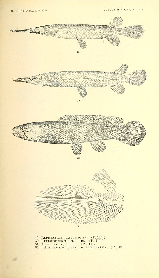 n328_w1150