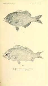 n746_w1150