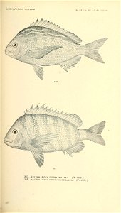 n716_w1150