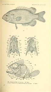 n596_w1150