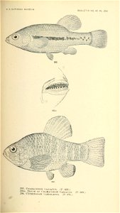 n506_w1150