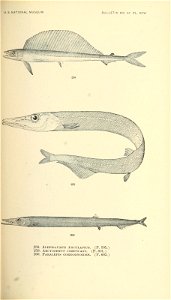 n476_w1150