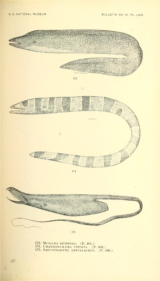 n416_w1150