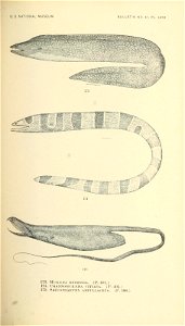 n416_w1150