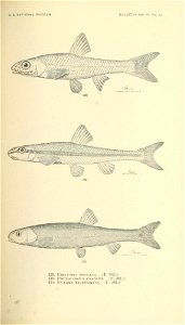 n386_w1150