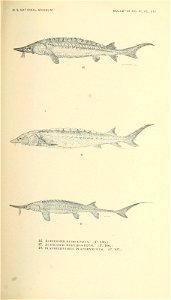 n326_w1150