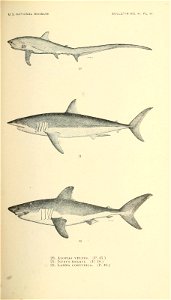n296_w1150