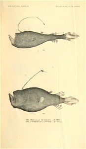 n1064_w1150