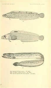 n974_w1150
