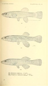 n492_w1150