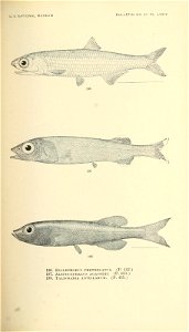 n432_w1150