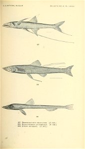 n462_w1150