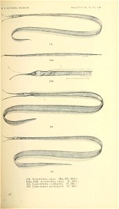 n402_w1150