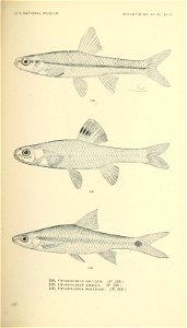 n372_w1150