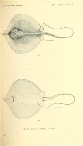 n312_w1150