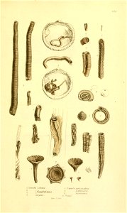 n172_w1150