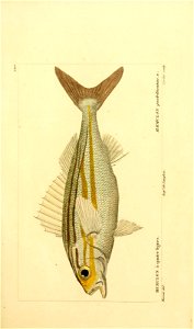 n220_w1150
