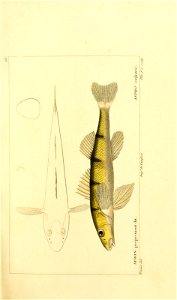 n40_w1150
