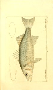 n10_w1150