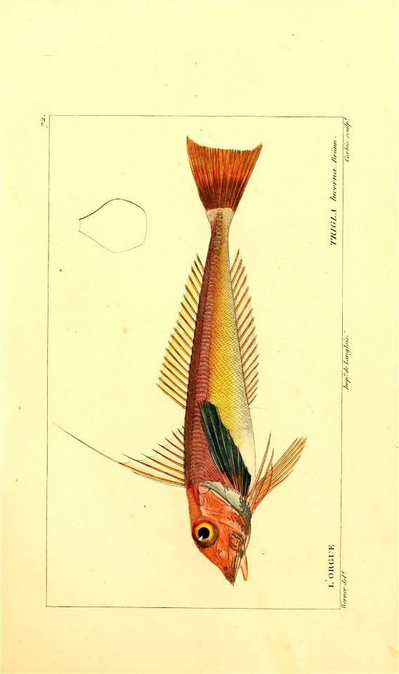 n128_w1150