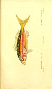 n68_w1150