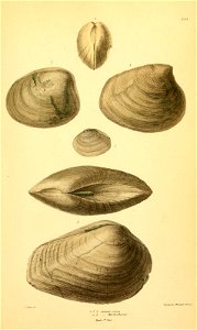 n194_w1150