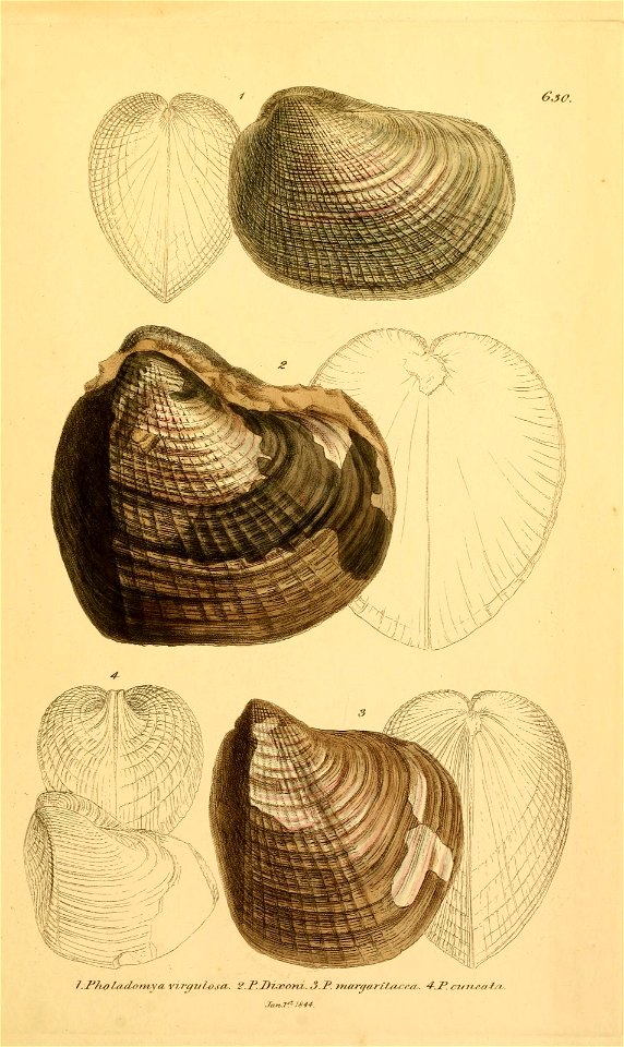 n164_w1150