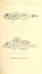 n854_w1150