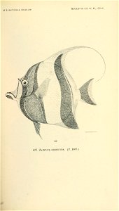 n794_w1150